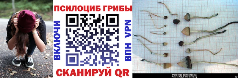Галлюциногенные грибы MAGIC MUSHROOMS  где купить наркоту  Анапа 